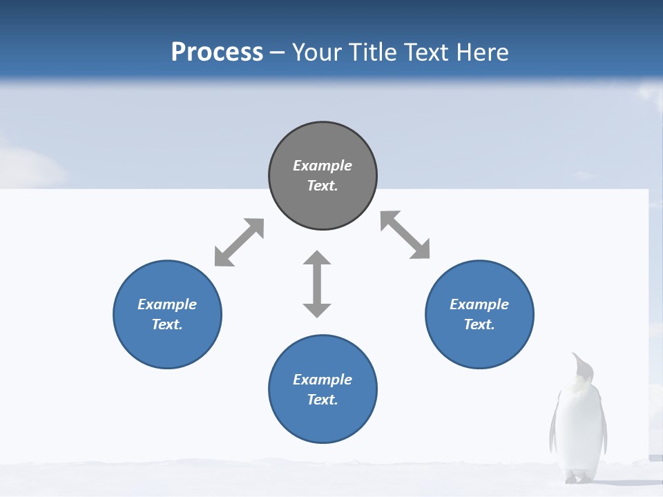 Penguin Placard Animal PowerPoint Template