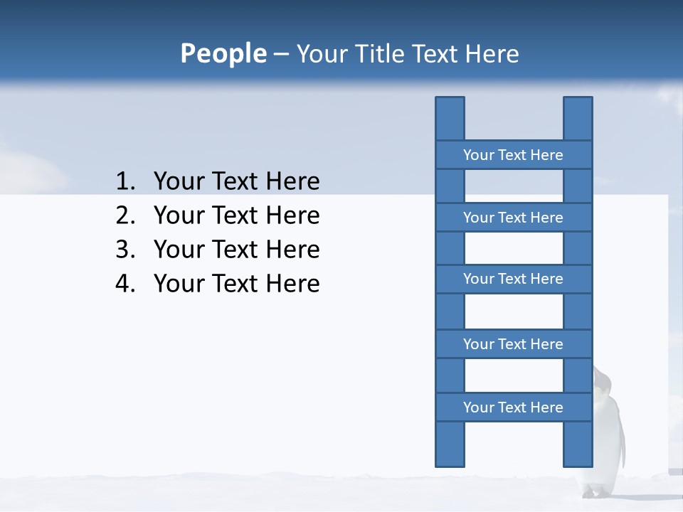 Penguin Placard Animal PowerPoint Template