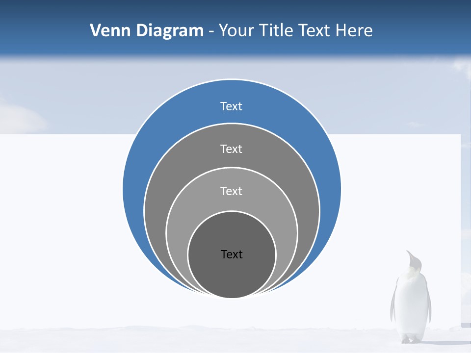 Penguin Placard Animal PowerPoint Template