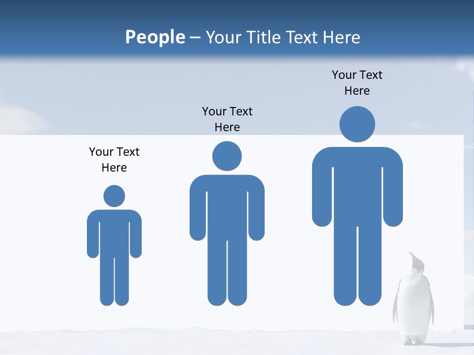 Penguin Placard Animal PowerPoint Template