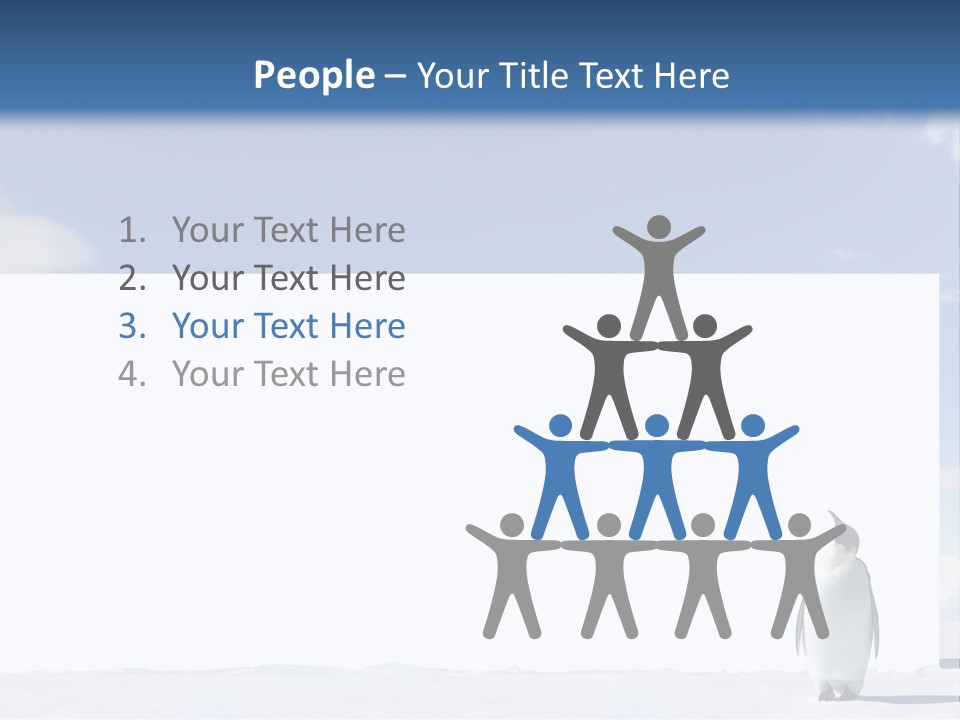 Penguin Placard Animal PowerPoint Template