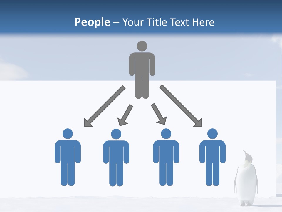 Penguin Placard Animal PowerPoint Template