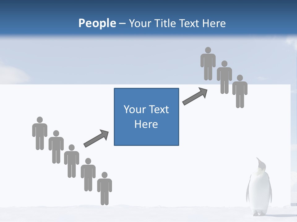 Penguin Placard Animal PowerPoint Template