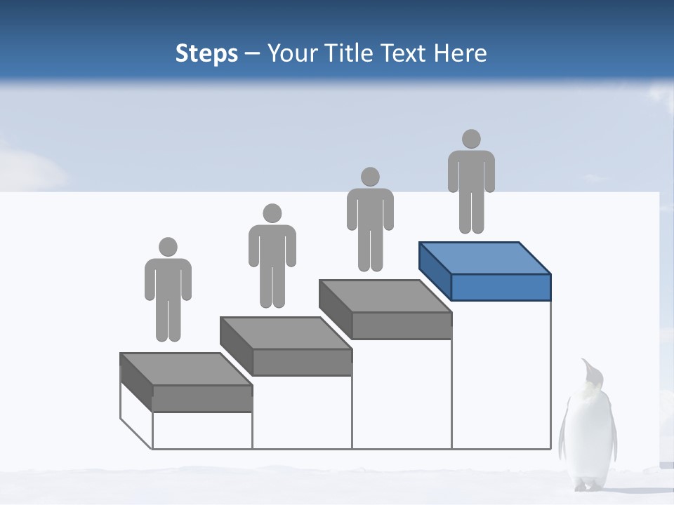 Penguin Placard Animal PowerPoint Template