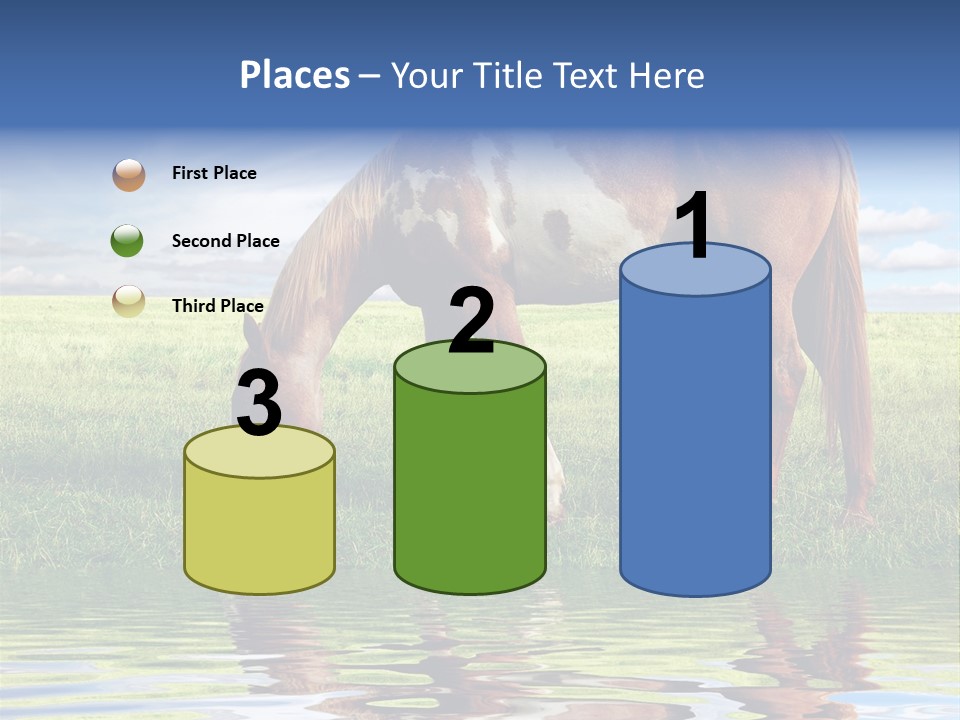 Beautiful Horses PowerPoint Template