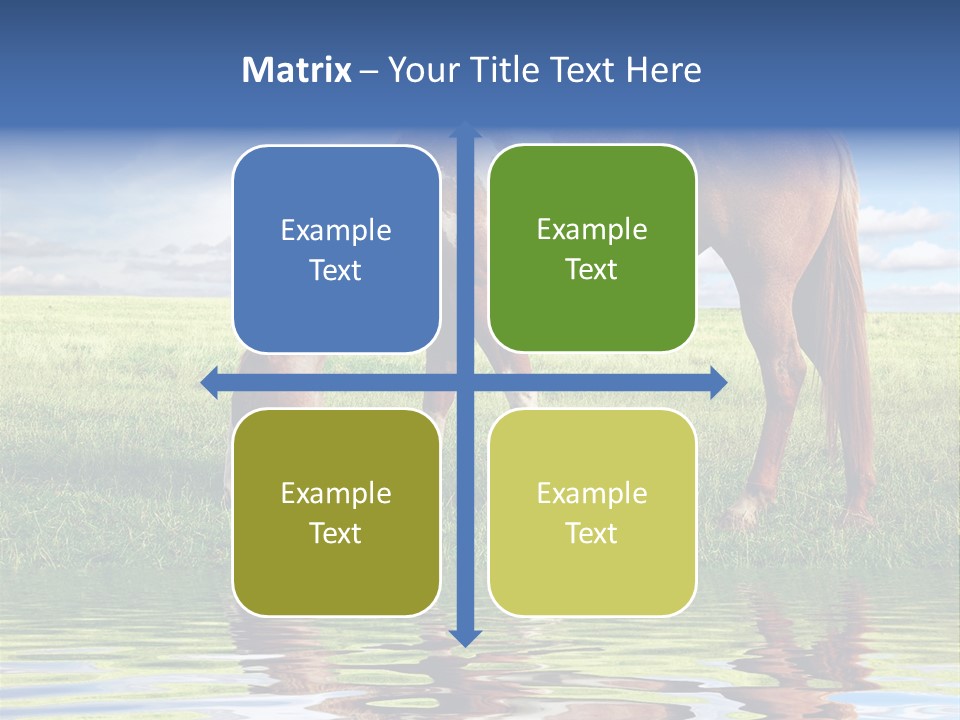 Beautiful Horses PowerPoint Template