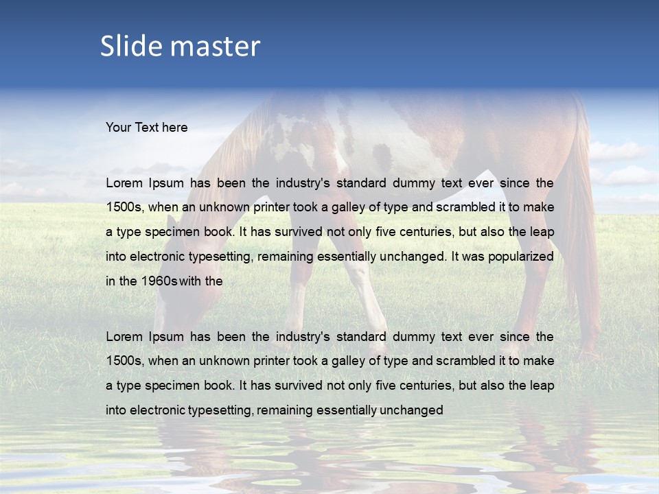 Beautiful Horses PowerPoint Template