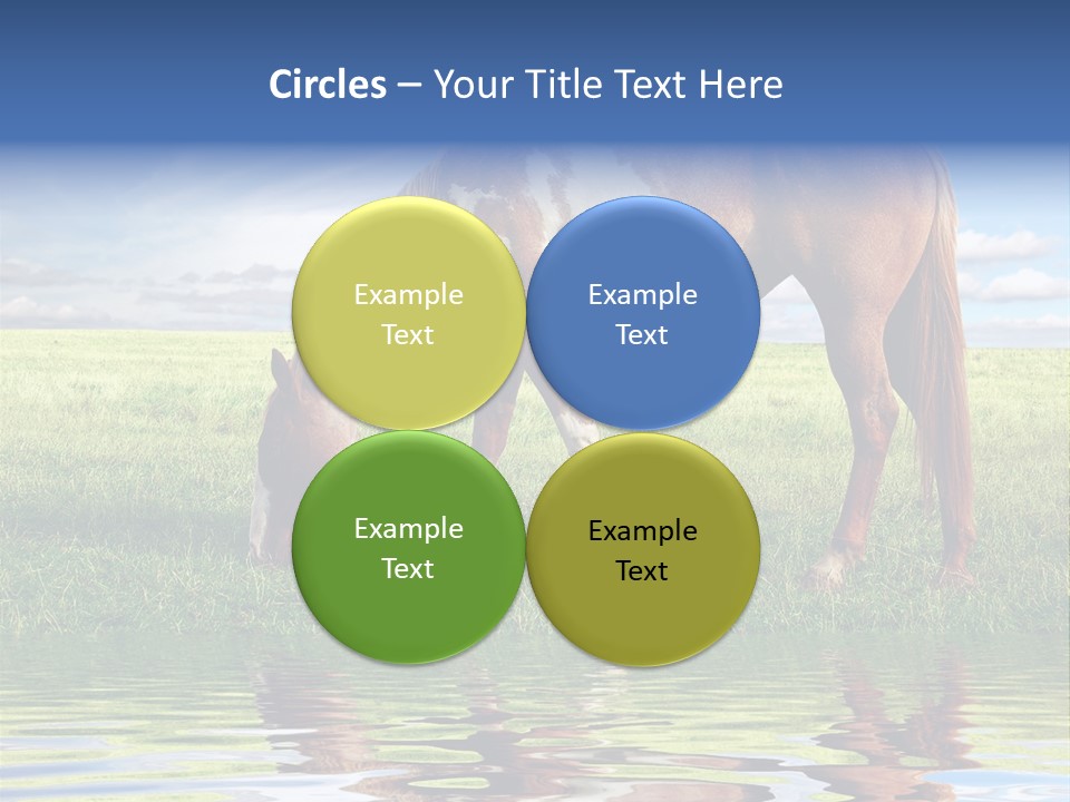 Beautiful Horses PowerPoint Template