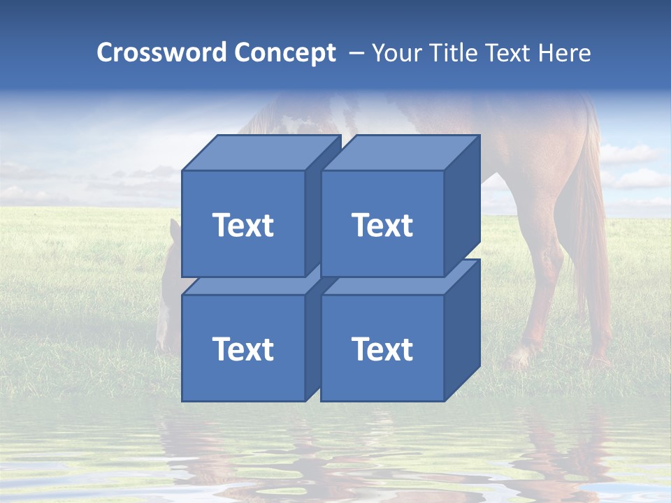 Beautiful Horses PowerPoint Template