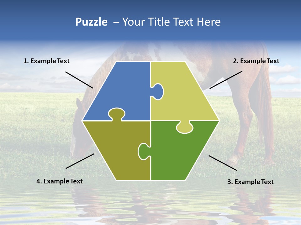 Beautiful Horses PowerPoint Template