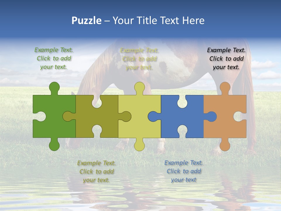 Beautiful Horses PowerPoint Template