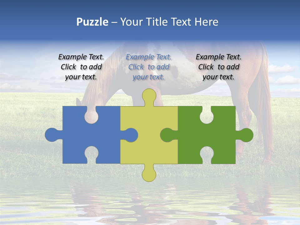 Beautiful Horses PowerPoint Template