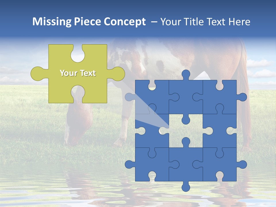 Beautiful Horses PowerPoint Template