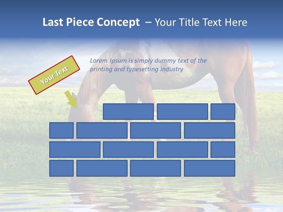 Beautiful Horses PowerPoint Template