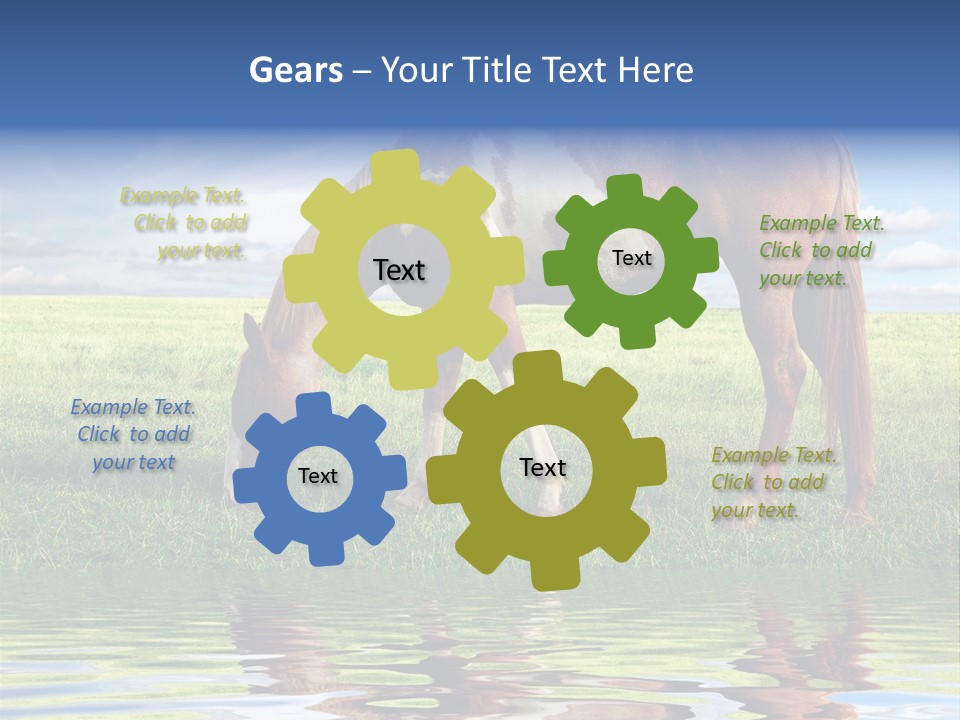 Beautiful Horses PowerPoint Template