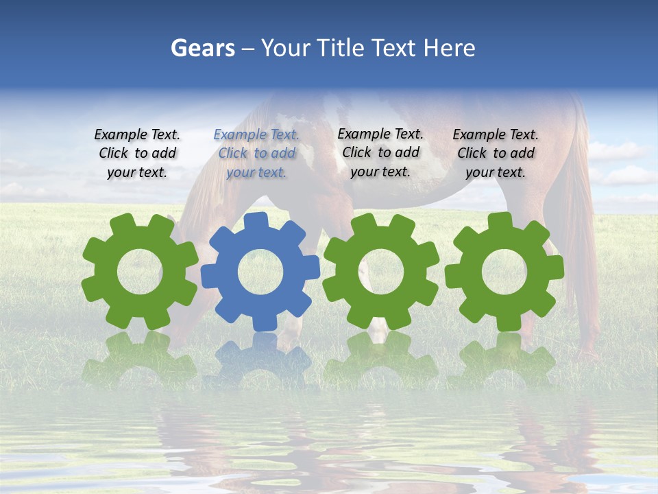 Beautiful Horses PowerPoint Template