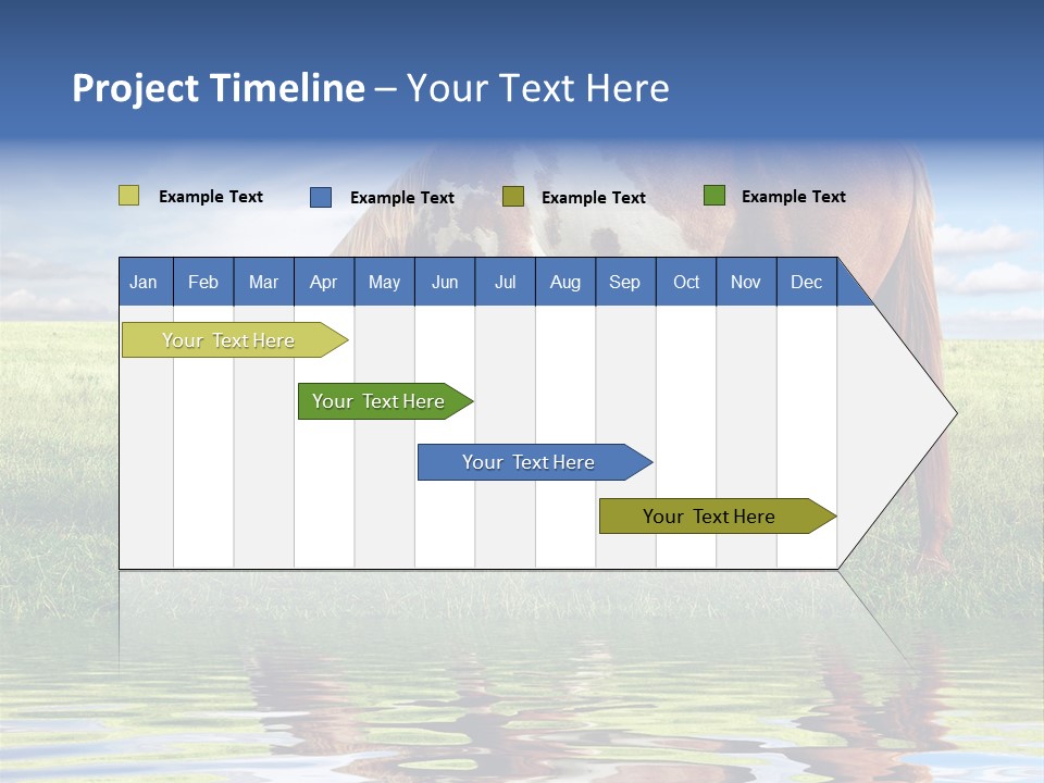 Beautiful Horses PowerPoint Template