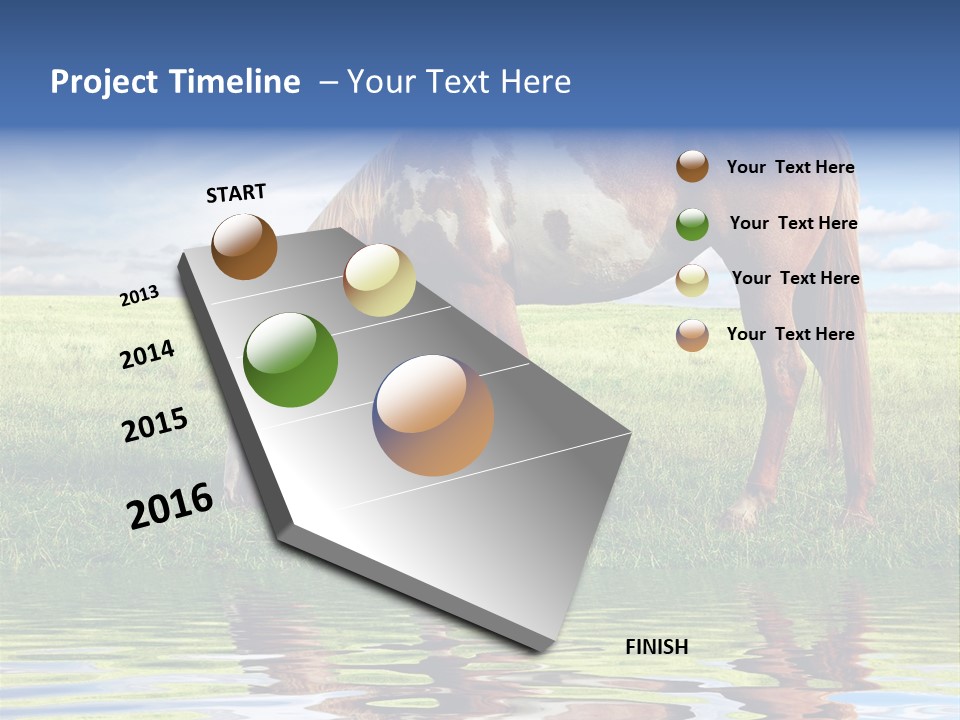 Beautiful Horses PowerPoint Template