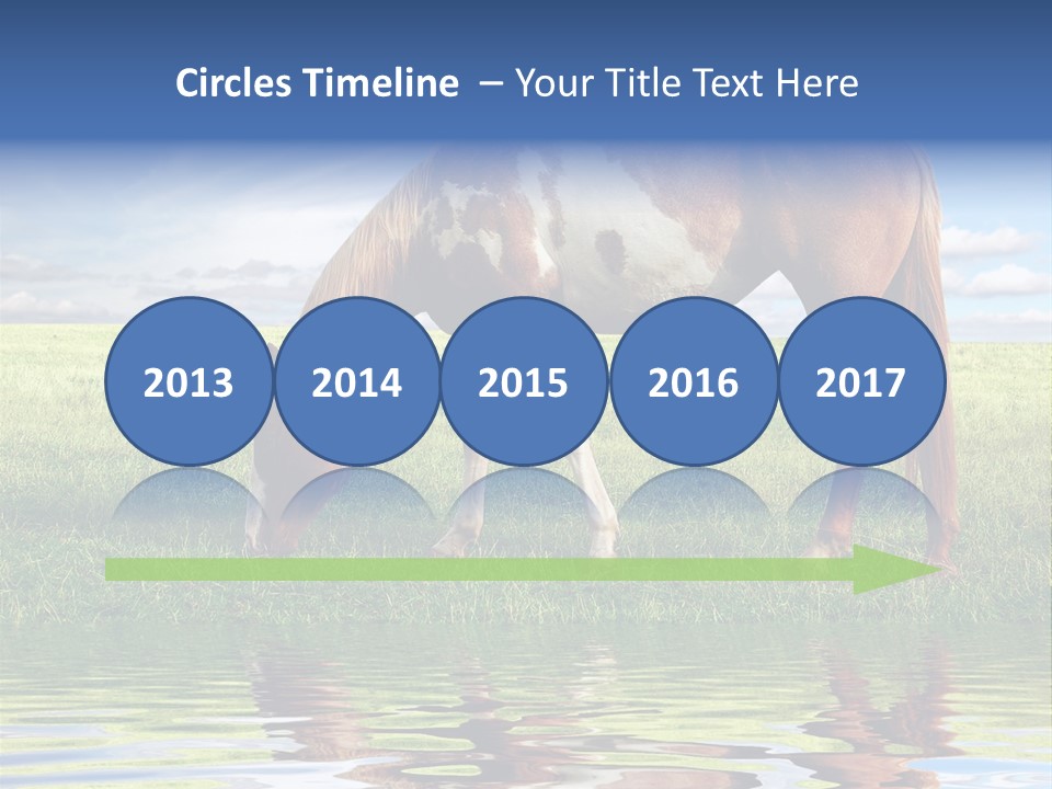 Beautiful Horses PowerPoint Template