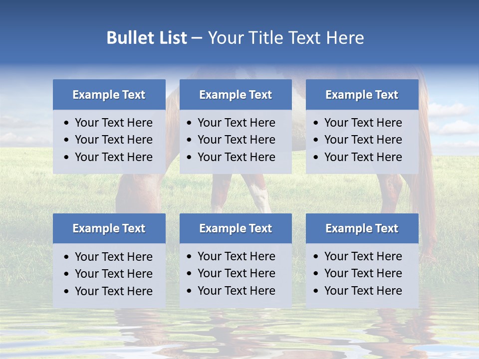 Beautiful Horses PowerPoint Template