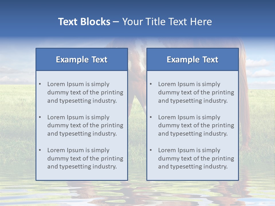 Beautiful Horses PowerPoint Template