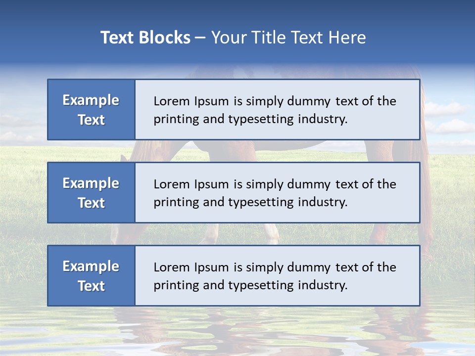 Beautiful Horses PowerPoint Template