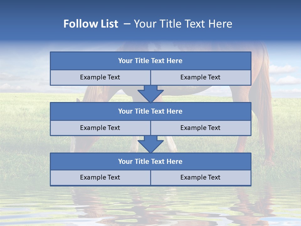 Beautiful Horses PowerPoint Template