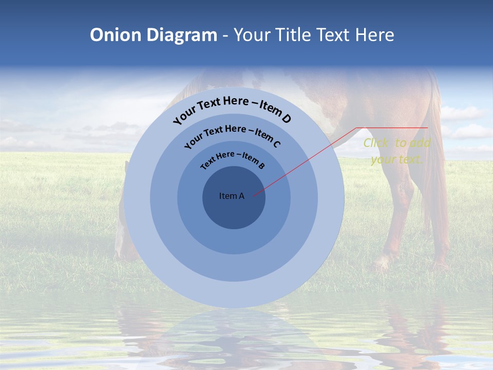 Beautiful Horses PowerPoint Template