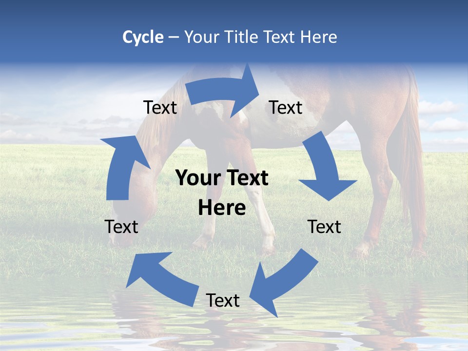 Beautiful Horses PowerPoint Template