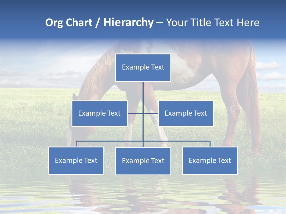 Beautiful Horses PowerPoint Template