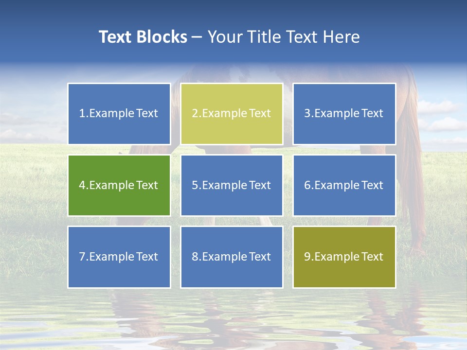 Beautiful Horses PowerPoint Template