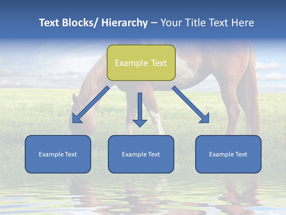 Beautiful Horses PowerPoint Template