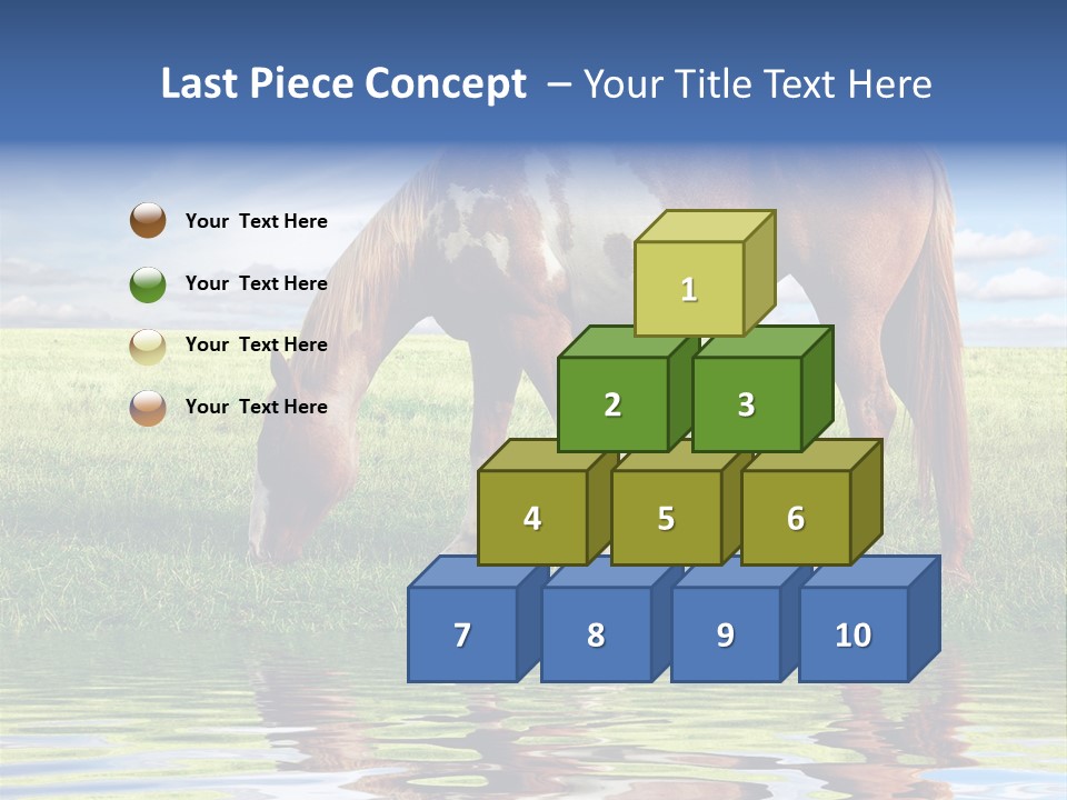Beautiful Horses PowerPoint Template