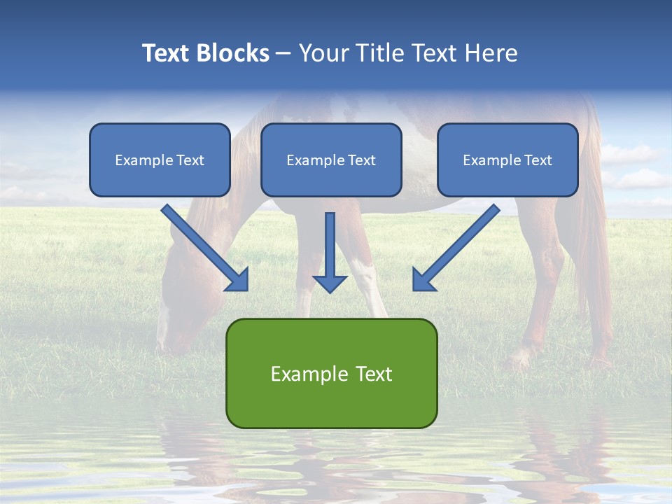 Beautiful Horses PowerPoint Template