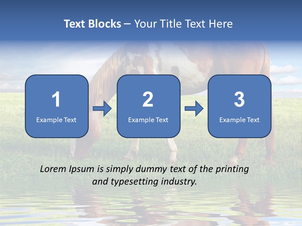 Beautiful Horses PowerPoint Template