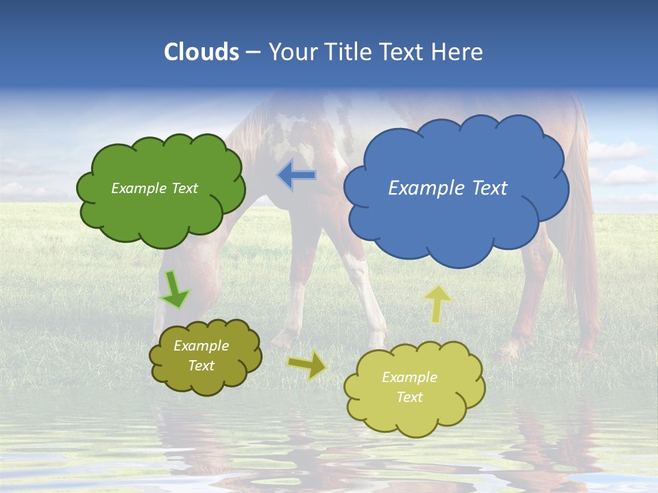 Beautiful Horses PowerPoint Template