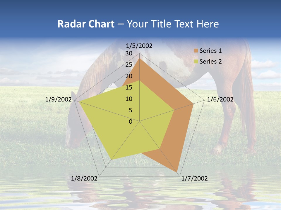Beautiful Horses PowerPoint Template