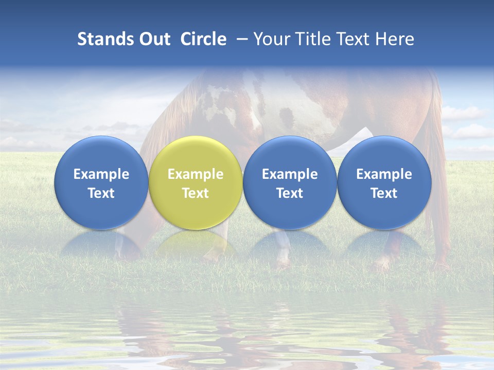 Beautiful Horses PowerPoint Template