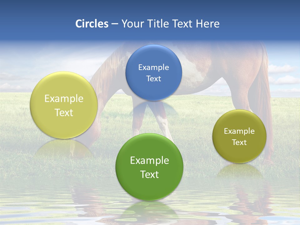 Beautiful Horses PowerPoint Template