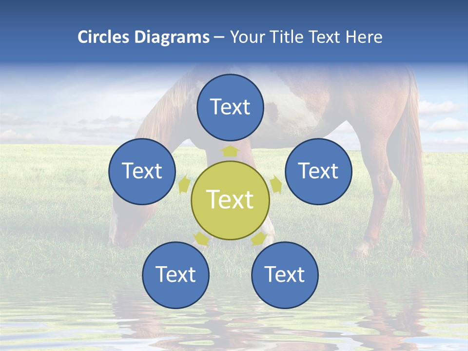 Beautiful Horses PowerPoint Template