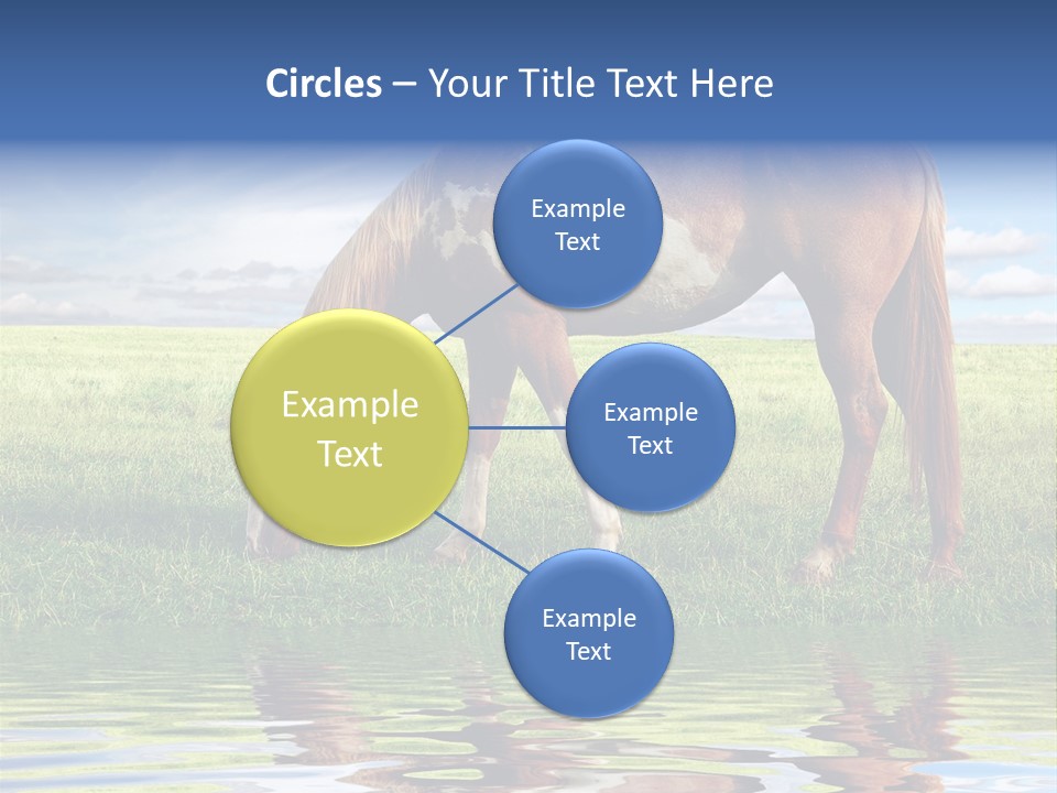 Beautiful Horses PowerPoint Template
