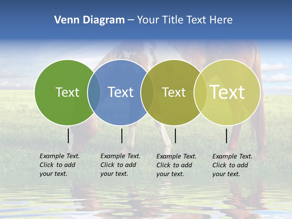 Beautiful Horses PowerPoint Template