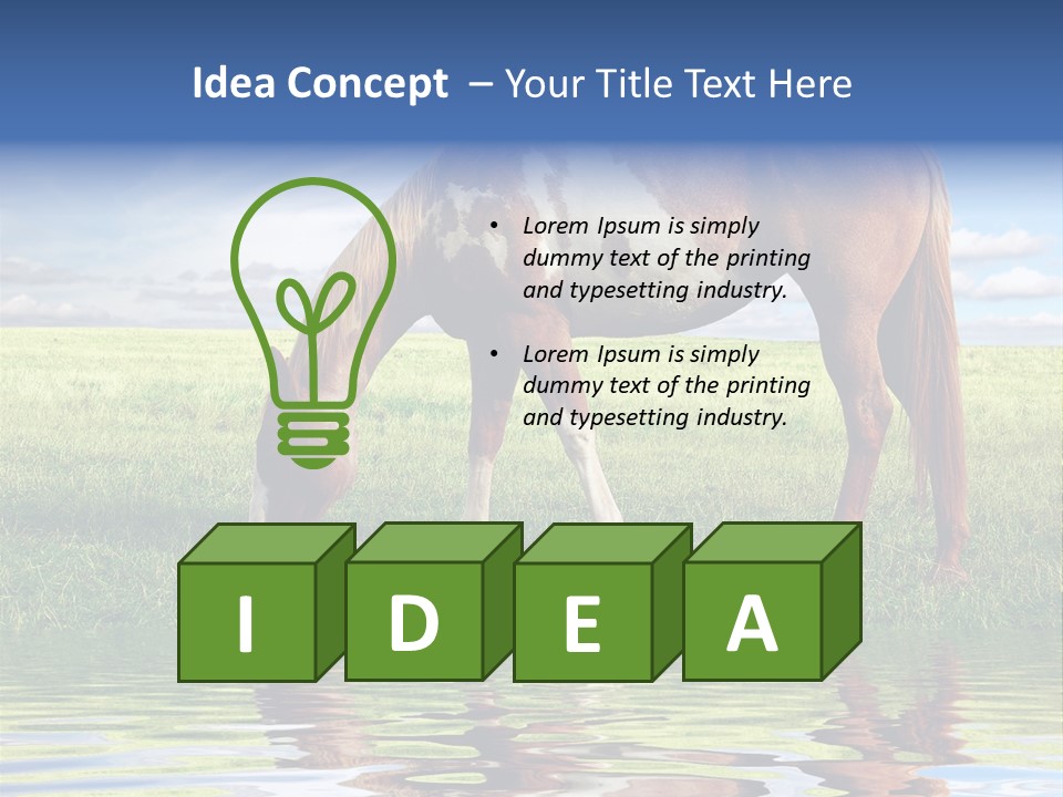 Beautiful Horses PowerPoint Template