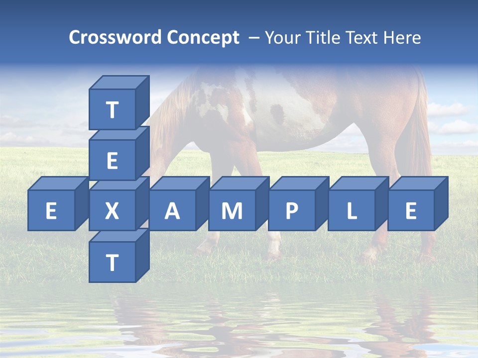 Beautiful Horses PowerPoint Template