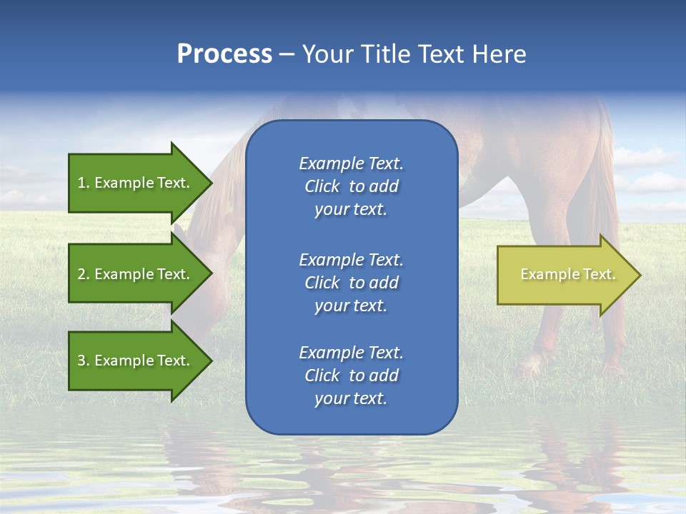 Beautiful Horses PowerPoint Template