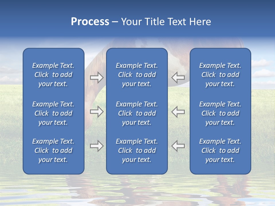 Beautiful Horses PowerPoint Template