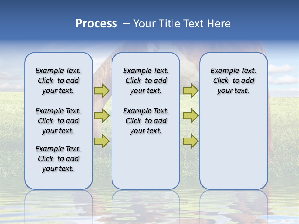 Beautiful Horses PowerPoint Template