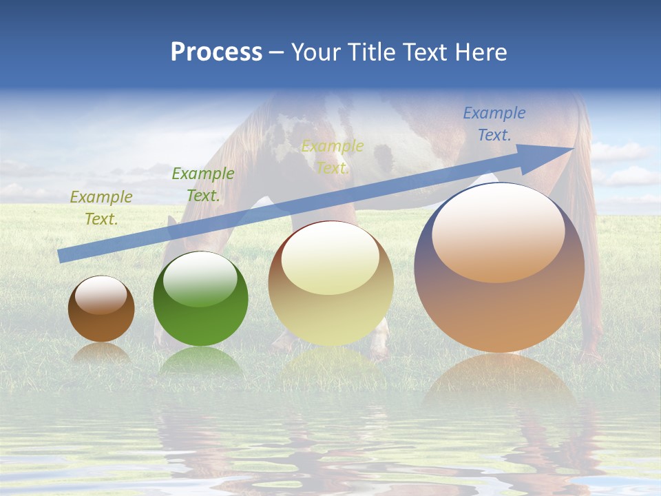 Beautiful Horses PowerPoint Template