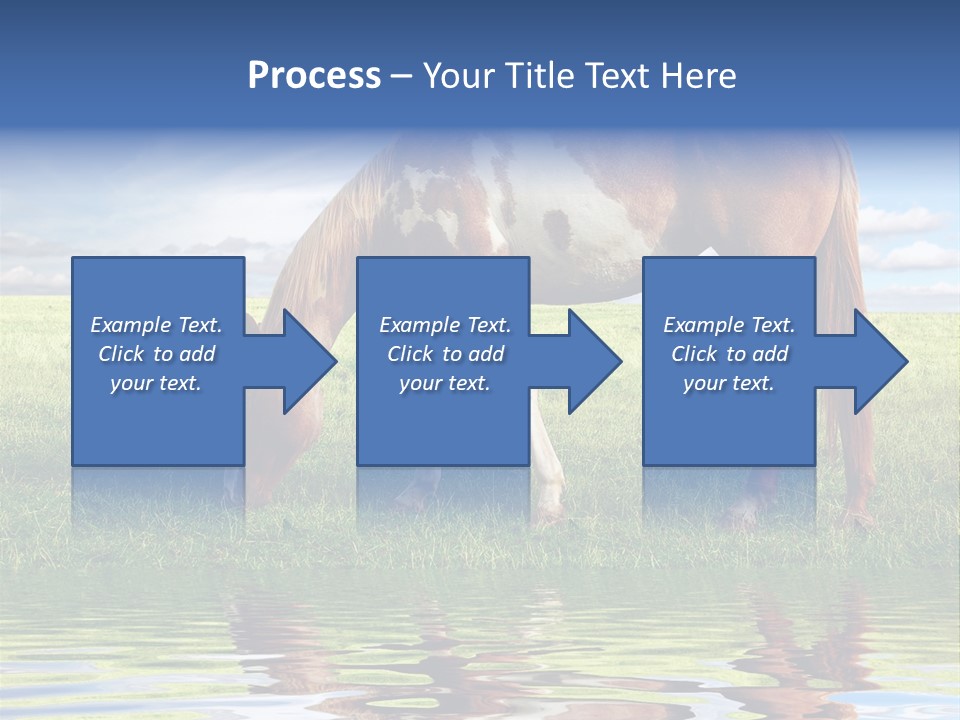Beautiful Horses PowerPoint Template