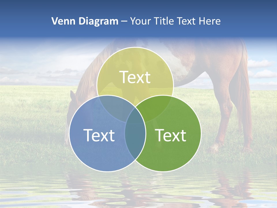 Beautiful Horses PowerPoint Template